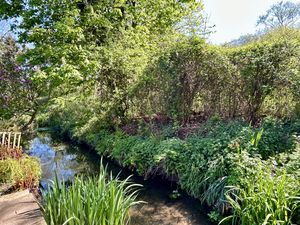 Strine - click for photo gallery